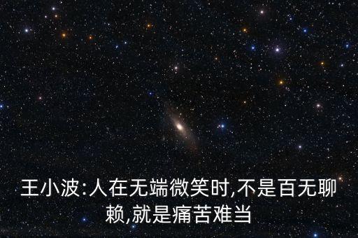 王小波:人在無(wú)端微笑時(shí),不是百無(wú)聊賴(lài),就是痛苦難當(dāng)