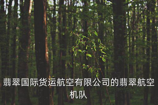 翡翠國際貨運(yùn)航空有限公司的翡翠航空機(jī)隊(duì)