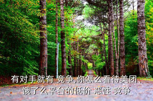 有對手就有 競爭,你怎么看待美團、餓了么平臺的低價 惡性 競爭