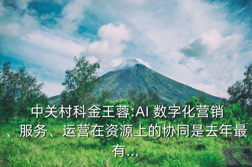  中關(guān)村科金王蓉:AI 數(shù)字化營(yíng)銷、服務(wù)、運(yùn)營(yíng)在資源上的協(xié)同是去年最有...