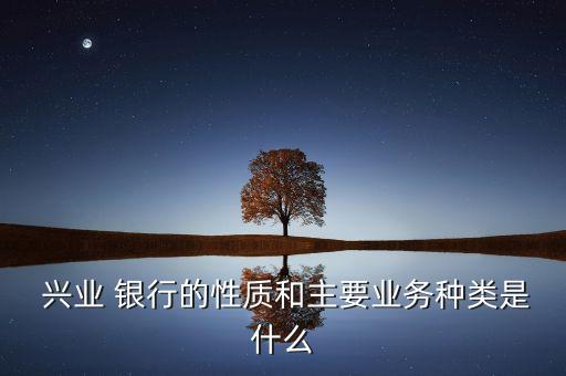  興業(yè) 銀行的性質和主要業(yè)務種類是什么