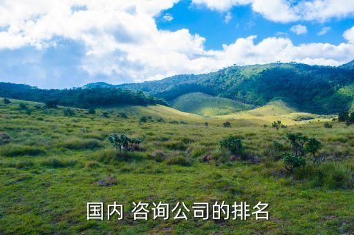 國內 咨詢公司的排名
