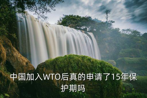 中國加入WTO后真的申請(qǐng)了15年保護(hù)期嗎
