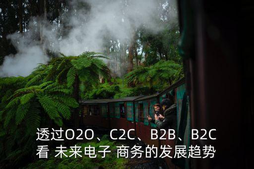 透過O2O、C2C、B2B、B2C看 未來電子 商務(wù)的發(fā)展趨勢
