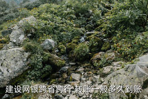 建設網銀跨省跨行 轉賬一般多久到賬