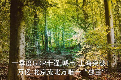 一季度GDP十強(qiáng) 城市:上海突破1 萬億,北京成北方唯一“獨苗”