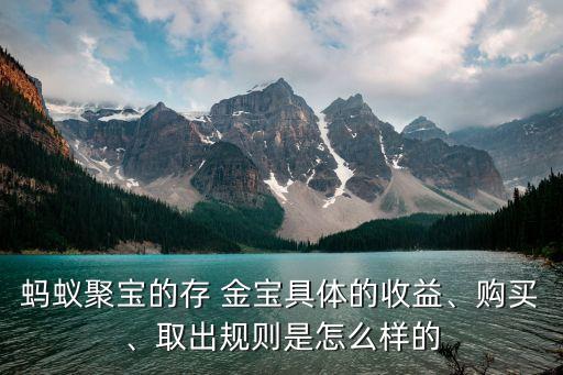 螞蟻聚寶的存 金寶具體的收益、購買、取出規(guī)則是怎么樣的