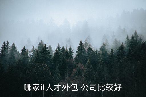 福昕軟件公司和星網銳捷哪個好