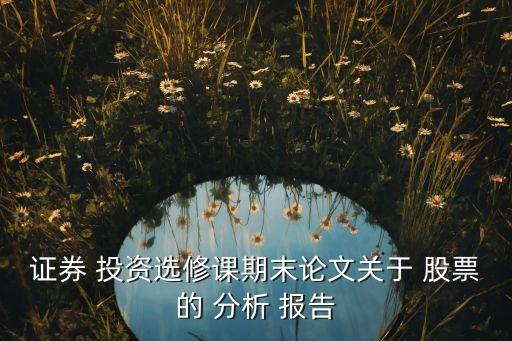 證券 投資選修課期末論文關(guān)于 股票的 分析 報告