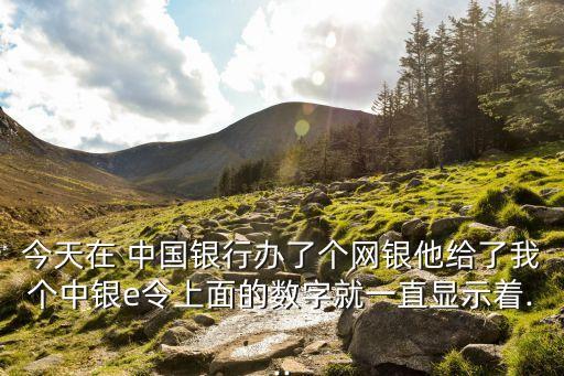 今天在 中國銀行辦了個網銀他給了我個中銀e令上面的數字就一直顯示著...