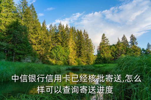  中信銀行信用卡已經核批寄送,怎么樣可以查詢寄送進度