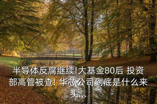 華芯投資集團(tuán),華項投資集團(tuán)是干什么的