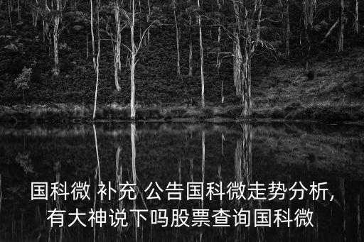 國科微 補(bǔ)充 公告國科微走勢(shì)分析,有大神說下嗎股票查詢國科微