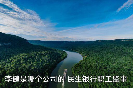 民生銀行網絡金融部總經理