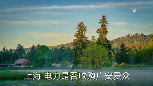  上海 電力是否收購(gòu)廣安愛(ài)眾