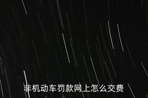 非機動車罰款網(wǎng)上怎么交費
