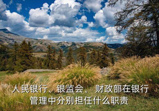  人民銀行、銀監(jiān)會(huì)、 財(cái)政部在銀行管理中分別擔(dān)任什么職責(zé)
