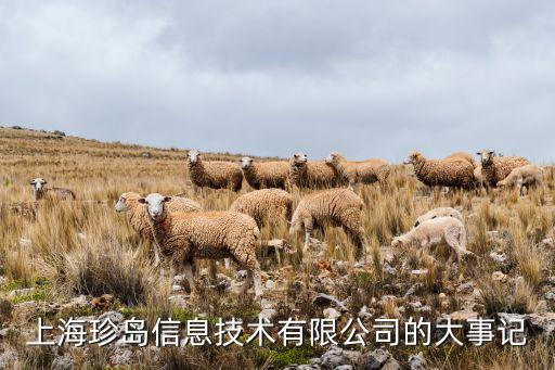 2013中國企業(yè)領袖年會視頻