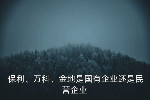  保利、萬科、金地是國有企業(yè)還是民營企業(yè)