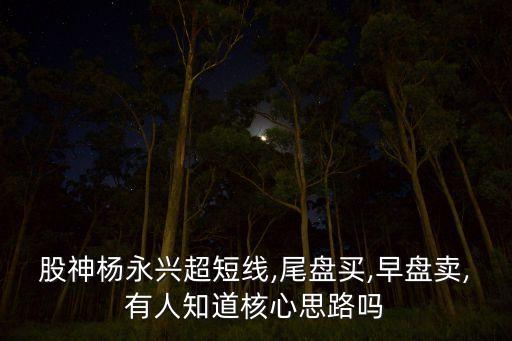 股神楊永興超短線,尾盤(pán)買(mǎi),早盤(pán)賣,有人知道核心思路嗎
