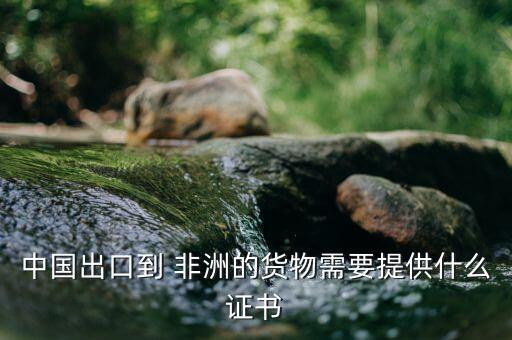 中國非洲商務部,商務部非洲留學生獎學金