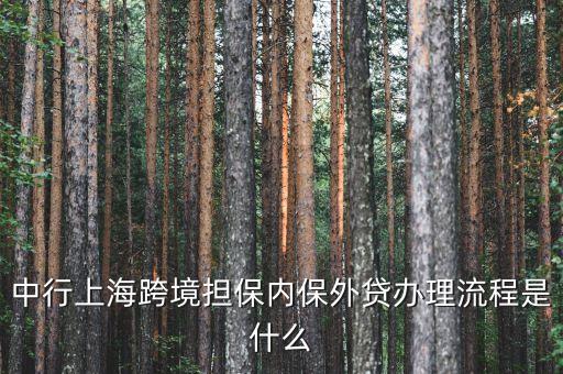 中行上?？缇硴?dān)保內(nèi)保外貸辦理流程是什么