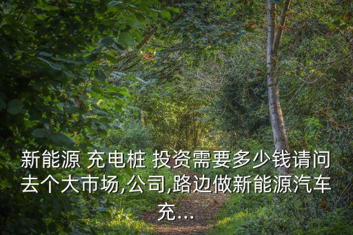 新能源 充電樁 投資需要多少錢請(qǐng)問(wèn)去個(gè)大市場(chǎng),公司,路邊做新能源汽車充...