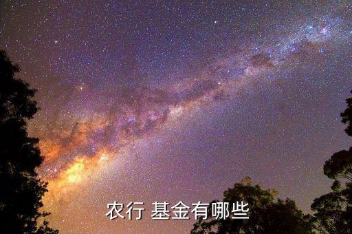  農行 基金有哪些