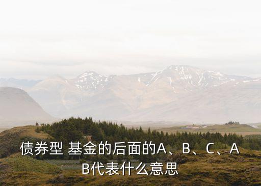 債券型 基金的后面的A、B、C、AB代表什么意思