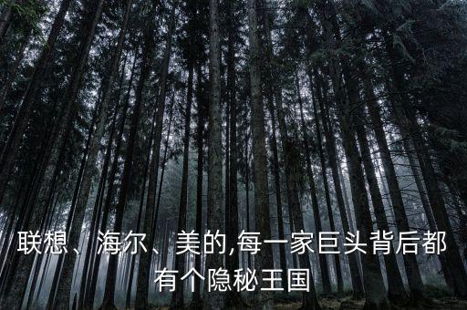 聯(lián)想、海爾、美的,每一家巨頭背后都有個(gè)隱秘王國(guó)