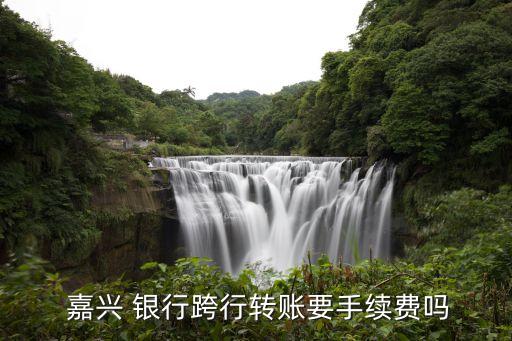  嘉興 銀行跨行轉賬要手續(xù)費嗎