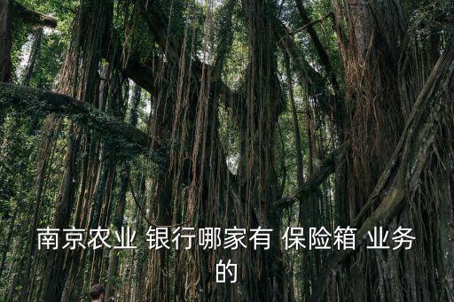 南京農業(yè) 銀行哪家有 保險箱 業(yè)務的