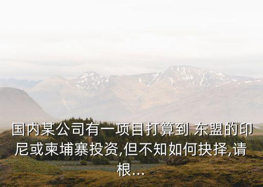 國內(nèi)某公司有一項(xiàng)目打算到 東盟的印尼或柬埔寨投資,但不知如何抉擇,請(qǐng)根...