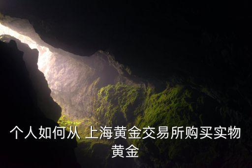 個(gè)人如何從 上海黃金交易所購(gòu)買(mǎi)實(shí)物黃金