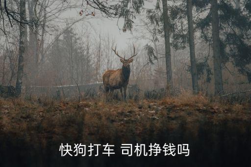 快狗打車 司機(jī)掙錢(qián)嗎