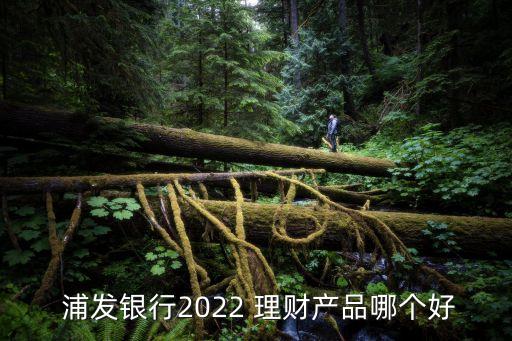  浦發(fā)銀行2022 理財(cái)產(chǎn)品哪個好