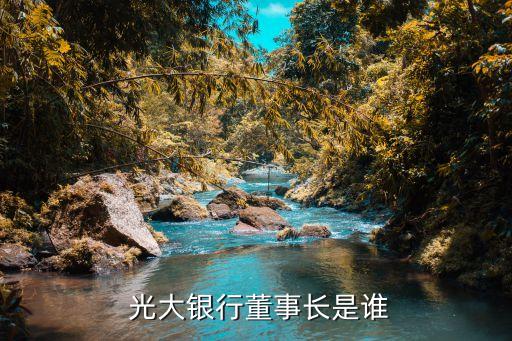 中國光大銀行南京分行行長(zhǎng),光大銀行南京分行行長(zhǎng)張偉是哪里人