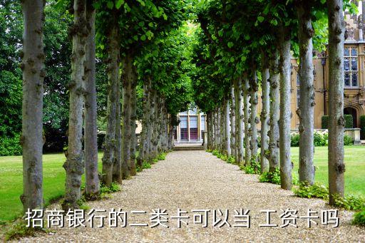 招商銀行的二類卡可以當 工資卡嗎