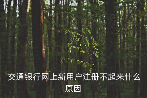  交通銀行網(wǎng)上新用戶注冊(cè)不起來(lái)什么原因