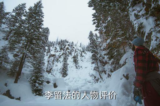  李留法的人物評價(jià)