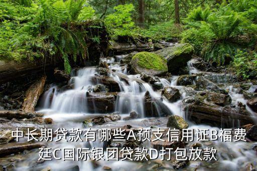 中長(zhǎng)期貸款有哪些A預(yù)支信用證B福費(fèi)廷C國際銀團(tuán)貸款D打包放款