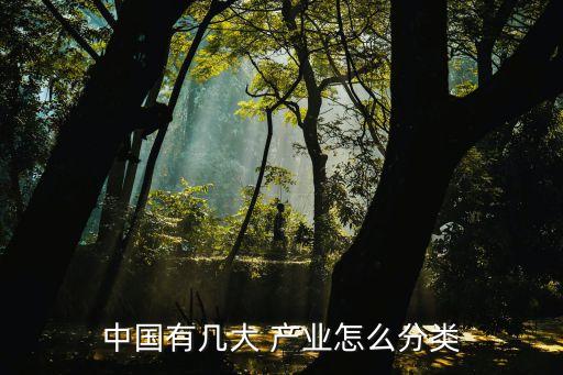 中國(guó)有幾大 產(chǎn)業(yè)怎么分類
