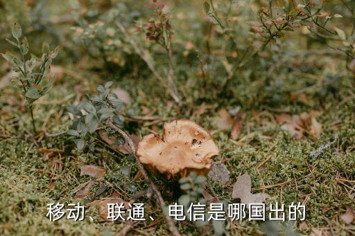 移動(dòng)、聯(lián)通、電信是哪國出的