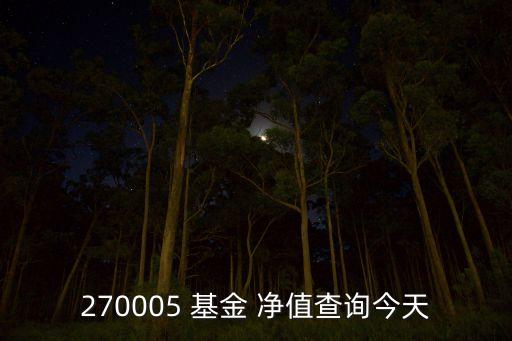 開(kāi)放式基金凈值表,天天開(kāi)放式基金凈值表查詢(xún)