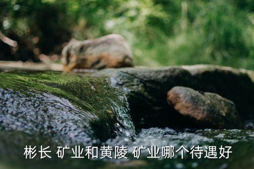 陜西彬長礦業(yè)集團有限公司煤化工公司,2、陜西彬長礦業(yè)集團有限公司