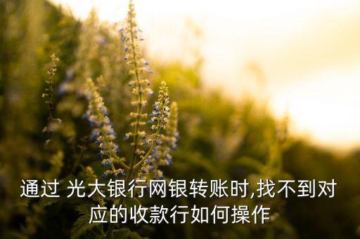 通過 光大銀行網(wǎng)銀轉(zhuǎn)賬時,找不到對應的收款行如何操作