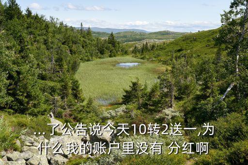 ...了公告說今天10轉2送一,為什么我的賬戶里沒有 分紅啊