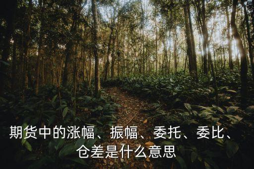 期貨中的漲幅、振幅、委托、委比、 倉差是什么意思