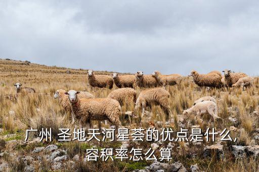 廣州圣地信息技術(shù)有限公司,廣州中教在線(xiàn)信息技術(shù)科技有限公司
