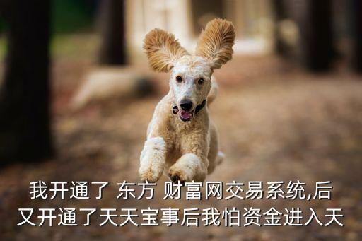 我開通了 東方 財富網(wǎng)交易系統(tǒng),后又開通了天天寶事后我怕資金進(jìn)入天